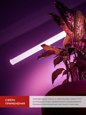 Лампа светодиодная LED-T8-FITO 20Вт 230В G13 1200мм IN HOME