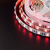 Сд лента МУЛЬТИКОЛОР 4в1 16Вт SMD5050-60LED 950Lm 12V IP33 RGBNW нейтральный белый Oreol