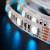 Сд лента МУЛЬТИКОЛОР 4в1 16Вт SMD5050-60LED 950Lm 12V IP33 RGBNW нейтральный белый Oreol