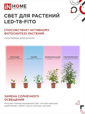Лампа светодиодная LED-T8-FITO 20Вт 230В G13 1200мм IN HOME