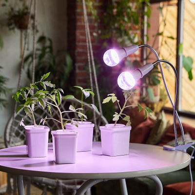 Фитолампа светодиодная LED-A60-10W/SPFR/E27/CL полный спектр для рассады и цв. Uniel 4690485090922