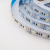 Сд лента МУЛЬТИКОЛОР 5в1 20Вт SMD5050-60LED-12mm 1350Lm 12V IP33 RGBWWW RGB+3000-6000K Oreol