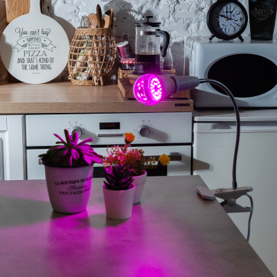 Фитолампа светодиодная LED-A60-9W/SP/E27/CL спектр для рассады и цветения Uniel