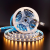 Сд лента МУЛЬТИКОЛОР 5в1 20Вт SMD5050-60LED-12mm 1350Lm 12V IP33 RGBWWW RGB+3000-6000K Oreol